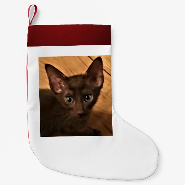 Kitten Small Christmas Stocking (Front)