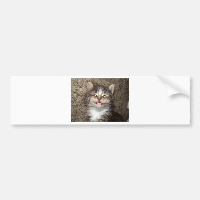 Kitten Smile Bumper Sticker (Front)