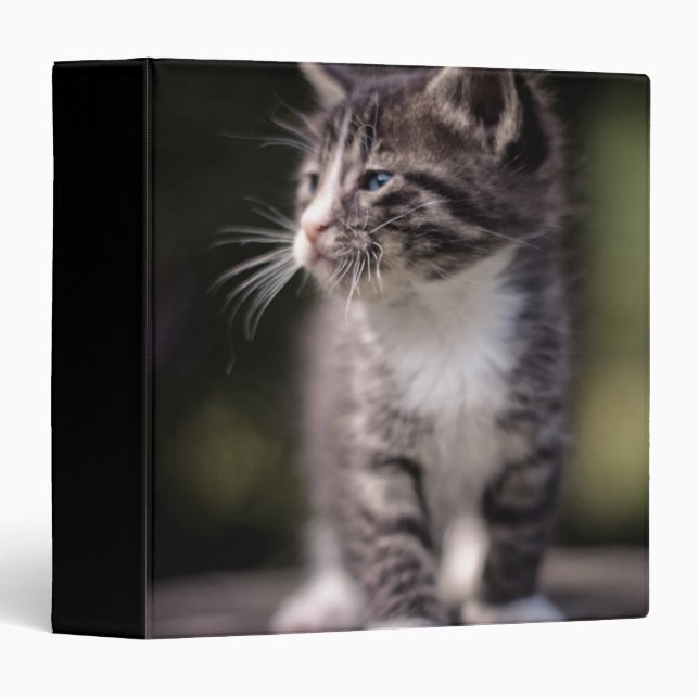Kitten Standing Tall Binder (Front/Spine)