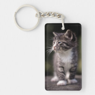 Kitten Standing Tall Keychain