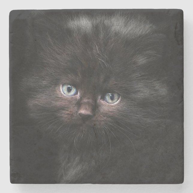 Kitten Stone Coaster (Front)