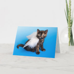 Kitten Sympathy Card