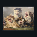 Kitten Symphony by Julius Adam II Postcard<br><div class="desc">Julius Anton Adam II,  known as "Cats Adam",  was a 19th century / early 20th century German genre painter and animalier specializing in paintings of cats.</div>