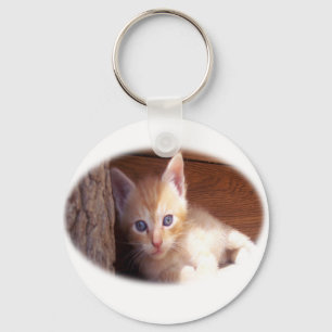 Kitten t-shirts and super mix keychain