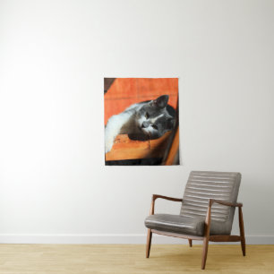 Kitten Tapestry