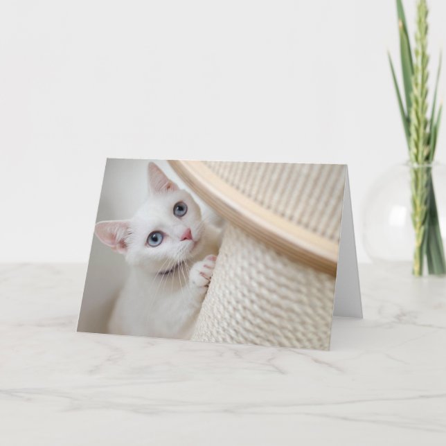 Kitten Thank You Card (Front)