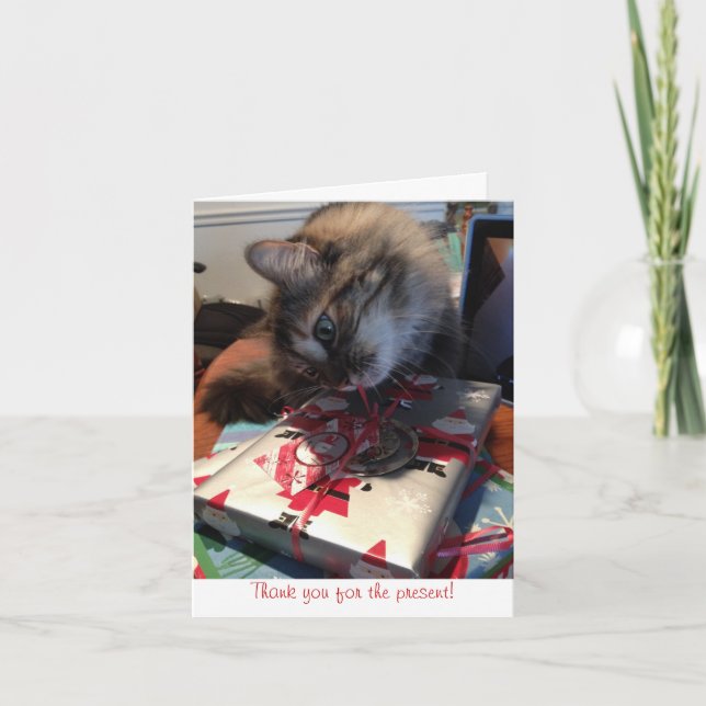 kitten thank you note (Front)