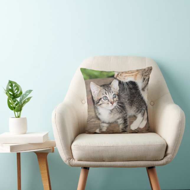 Kitten Throw Pillow (Chair)