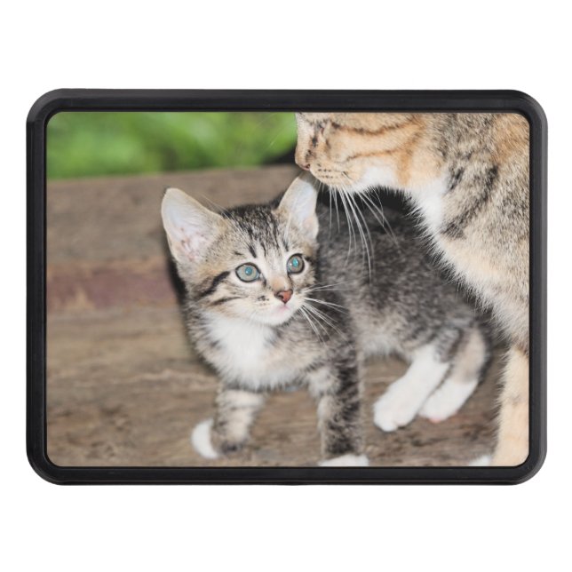 Kitten Trailer Hitch Cover (Front)