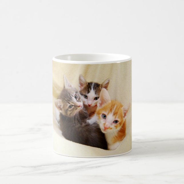 Kitten Trio Mug (Centre)