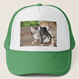Kitten Trucker Hat