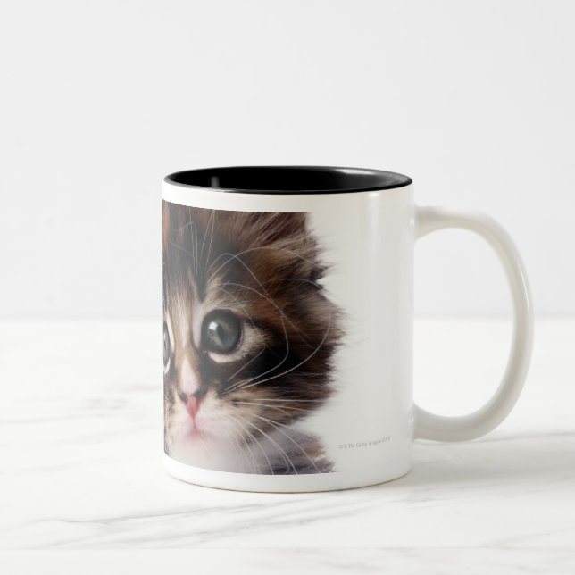 Kitten Two-Tone Coffee Mug (Right)