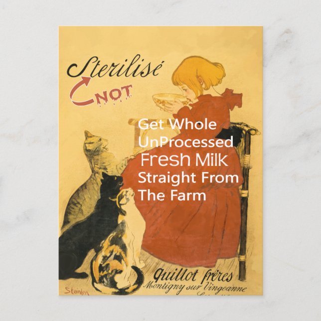 Kitten Vintage Milk Poster Postcard (Front)