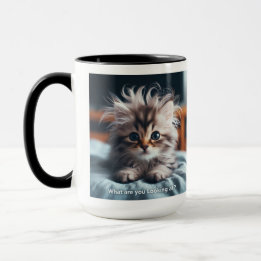 Kitten waking up asking "What are you looking at" Mug
