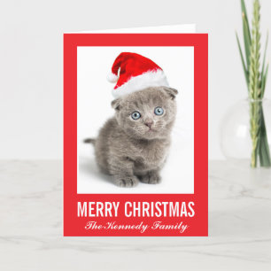 Kitten wearing a Santa hat Holiday Card