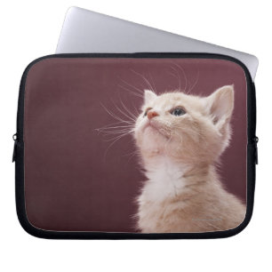 Kitten Whiskers Laptop Sleeve