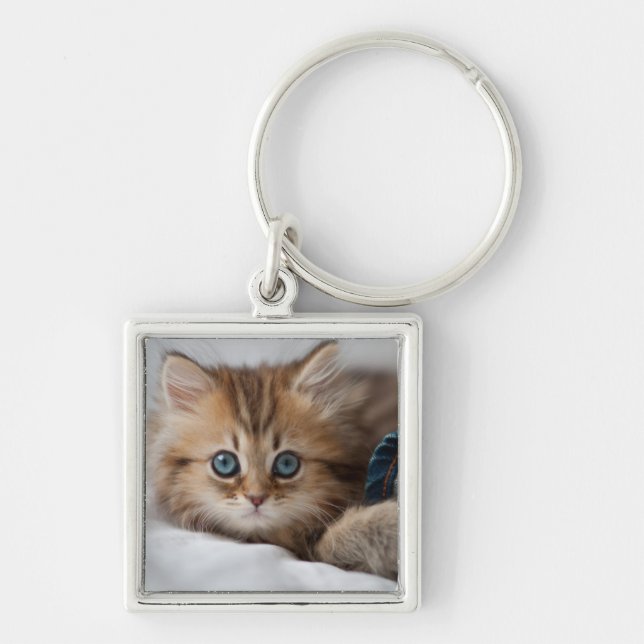 Kitten With Blue Eyes Keychain (Front)