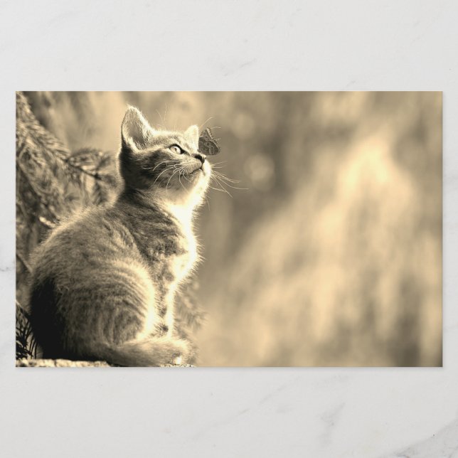 Kitten With Butterfly Friend Stationery (Front)
