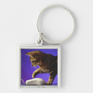 Kitten with computer mouse keychain