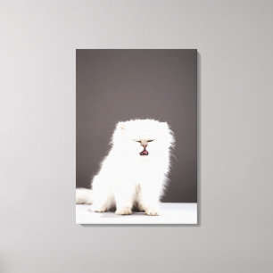 Kitten with Eyes Closed Canvas Print
