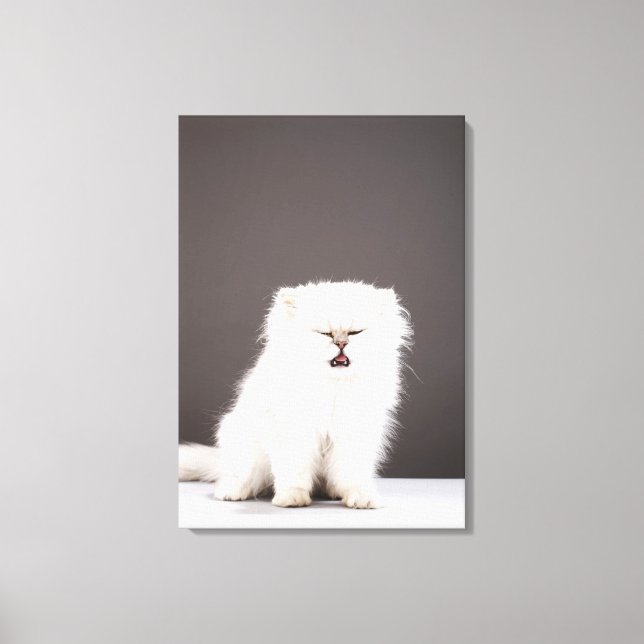 Kitten with Eyes Closed Canvas Print (Front)