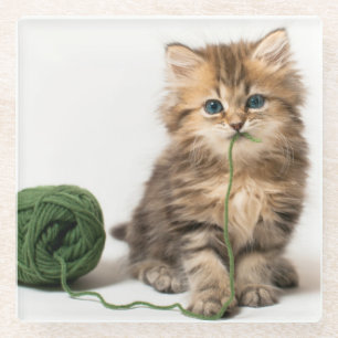 Kitten With Green Yarn Glass Coaster