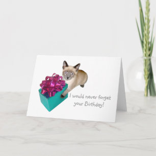 Kitten with Present Birthday Card