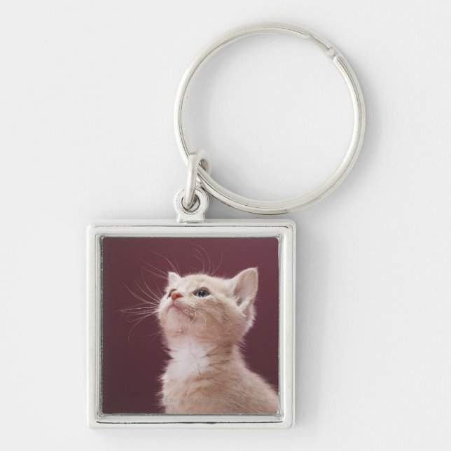Kitten with Whiskers Keychain (Front)