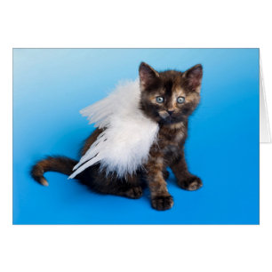 Kitten With Wings