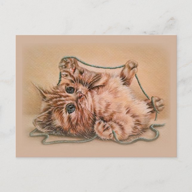 Kitten with Yarn drawing, pet cat art illustration Postcard (Front)