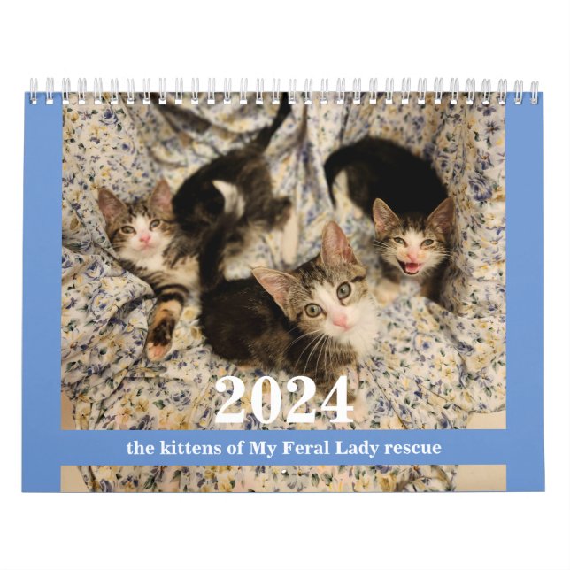 Kittens! 2024 My Feral Lady kitten Calendar (Cover)