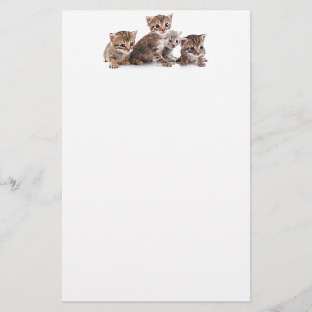 Kittens and more Kittens Stationery (Front)