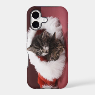 Kittens asleep together in Christmas hat