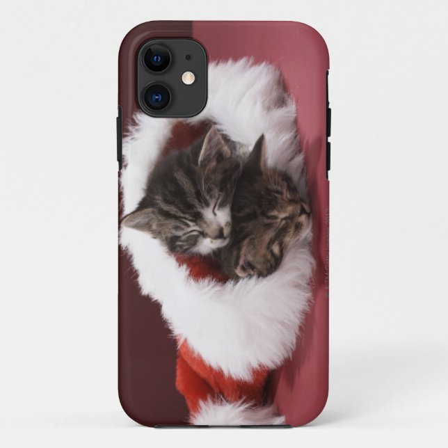 Kittens asleep together in Christmas hat Case-Mate iPhone Case (Back)