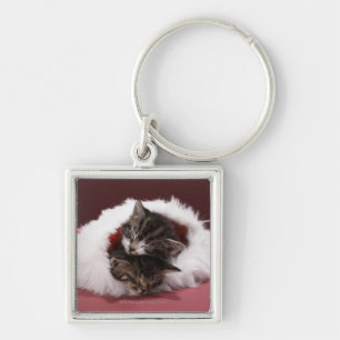Kittens asleep together in Christmas hat Keychain