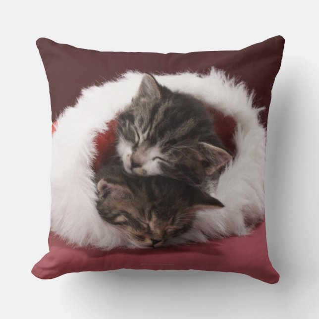 Kittens asleep together in Christmas hat Throw Pillow (Front)