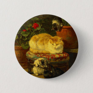 Kittens at Play 2 Inch Round Button