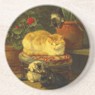 Kittens at Play Coaster