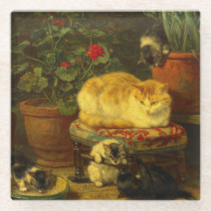 Kittens at Play Glass Coaster