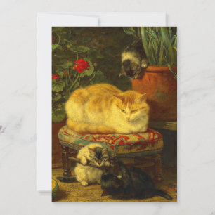 Kittens at Play Invitation