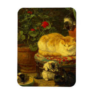 Kittens at Play Magnet
