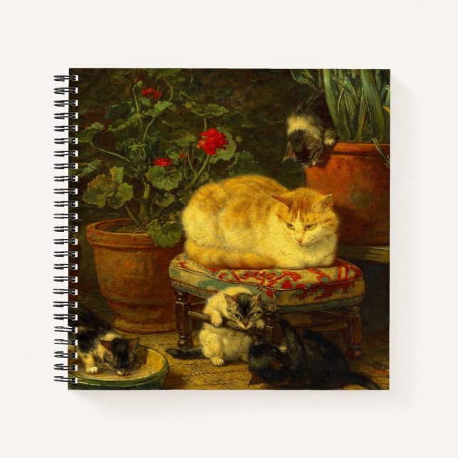 Kittens at Play Notebook (Front)