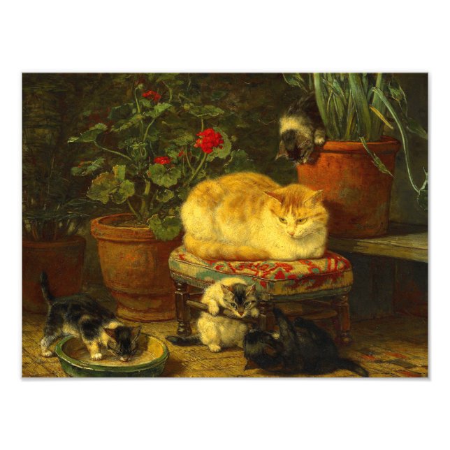 Kittens at Play Photo Print (Front)