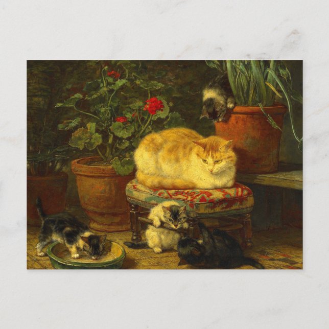 Kittens at Play Postcard (Front)