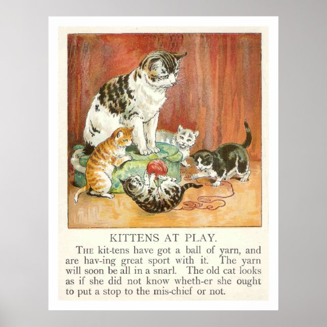 Kittens at play poster (Front)