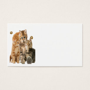 Kittens at play products