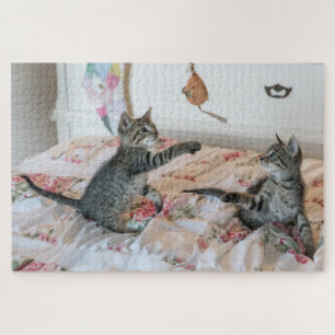 kittens at play puzzle