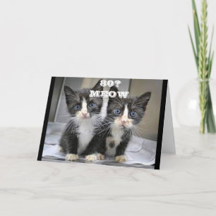 KITTENS CAN'T BELIVE YOU ARE *80* BIRTHDAY CARD