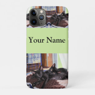 Kittens iPhone 11 Pro Case