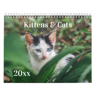 Kittens & Cats Calendar